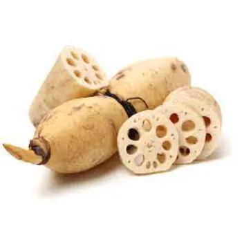 Lotus Root